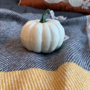 fall decor pumpkin